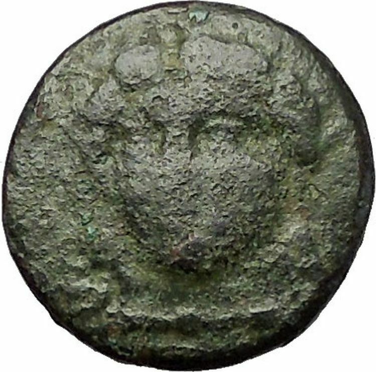 MILETOS in IONIA 260BC Apollo Lion Star RARE Authentic Ancient Greek Coin i57658