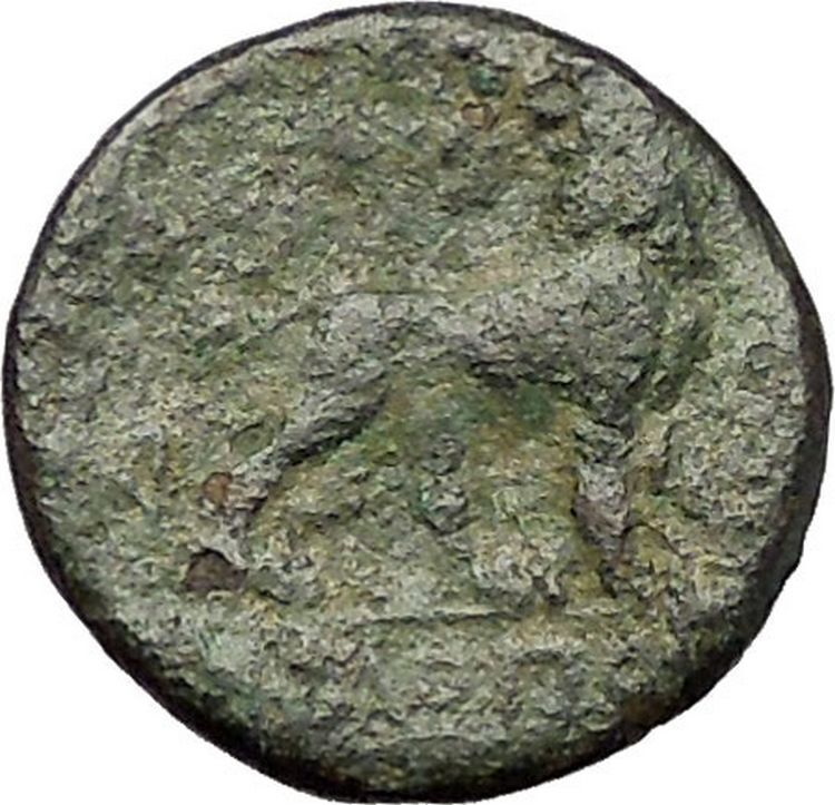 MILETOS in IONIA 260BC Apollo Lion Star RARE Authentic Ancient Greek Coin i57658