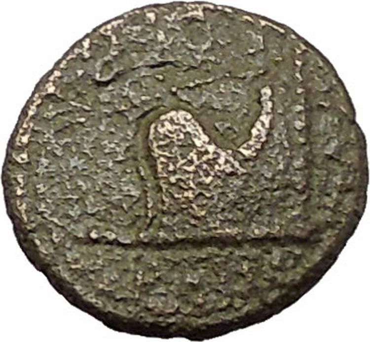 King RHOEMETALKES I Odrysian GREEK Kingdom in Thrace Augustus Time Coin i57659