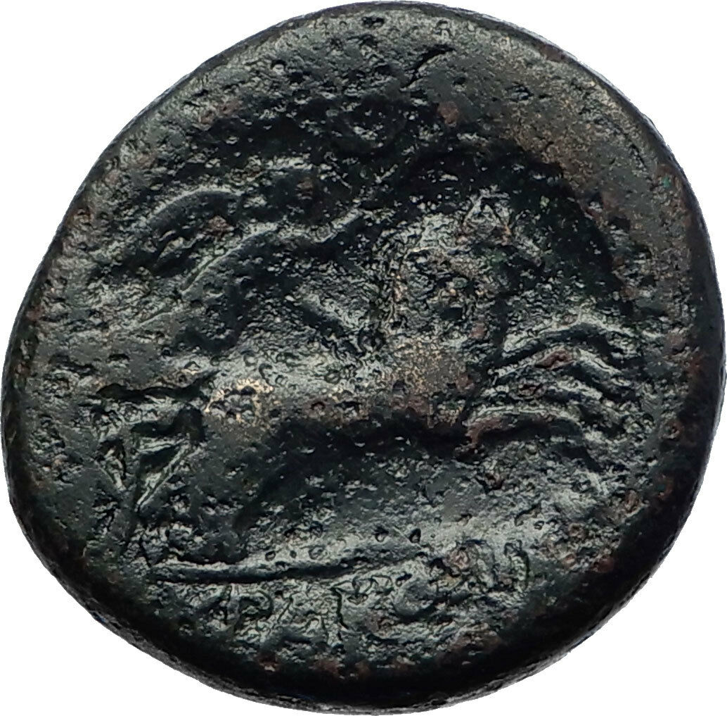 Syracuse in Sicily 212BC Zeus & Nike Horse Genuine Ancient Greek Coin i73286