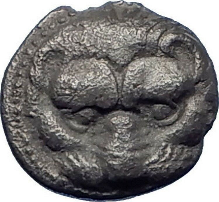 RHEGION in BRUTTIUM Authentic Ancient 415BC Silver Greek Coin LION OLIVE i73824