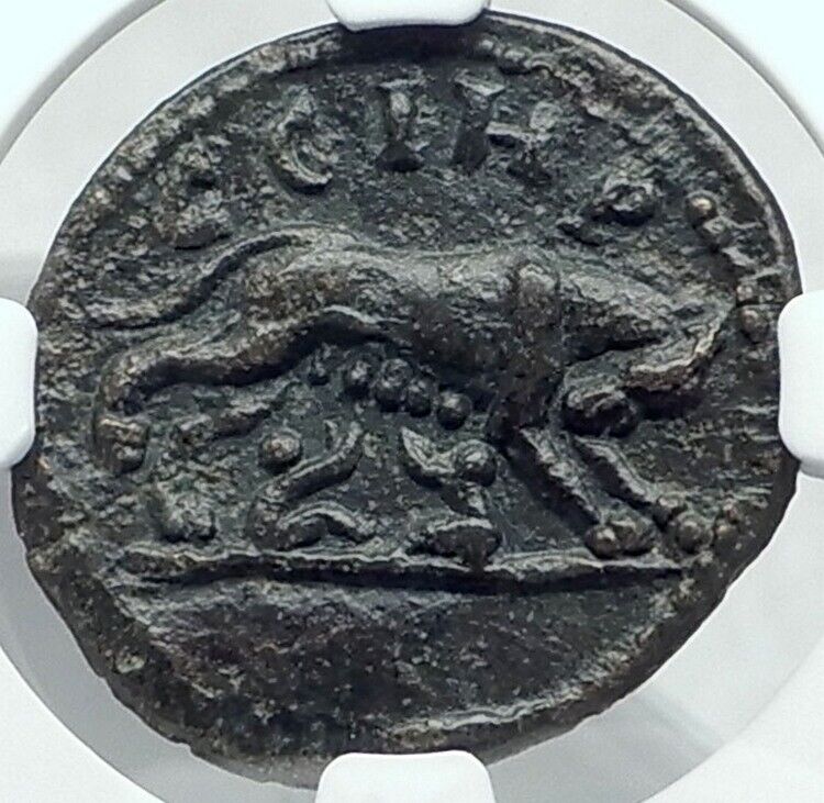 CARACALLA 198AD Parium Parion Mysia Authentic Ancient Roman Coin WOLF NGC i78438