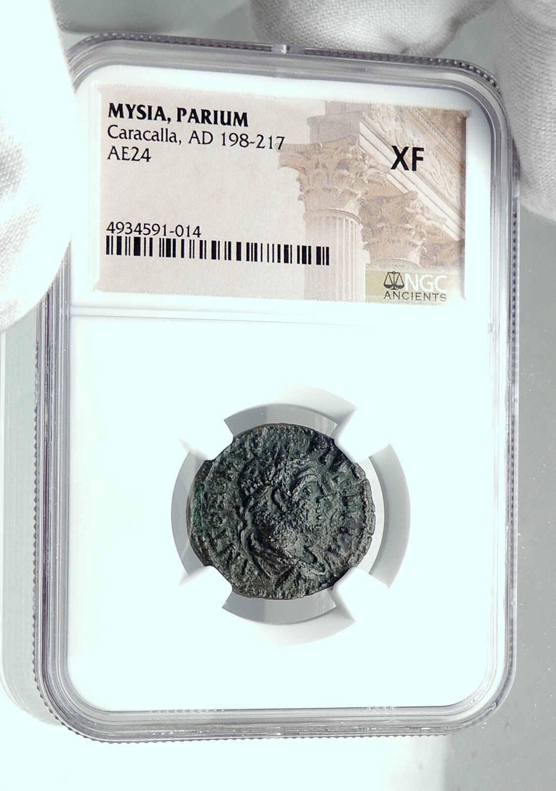 CARACALLA 198AD Parium Parion Mysia Authentic Ancient Roman Coin WOLF NGC i78438