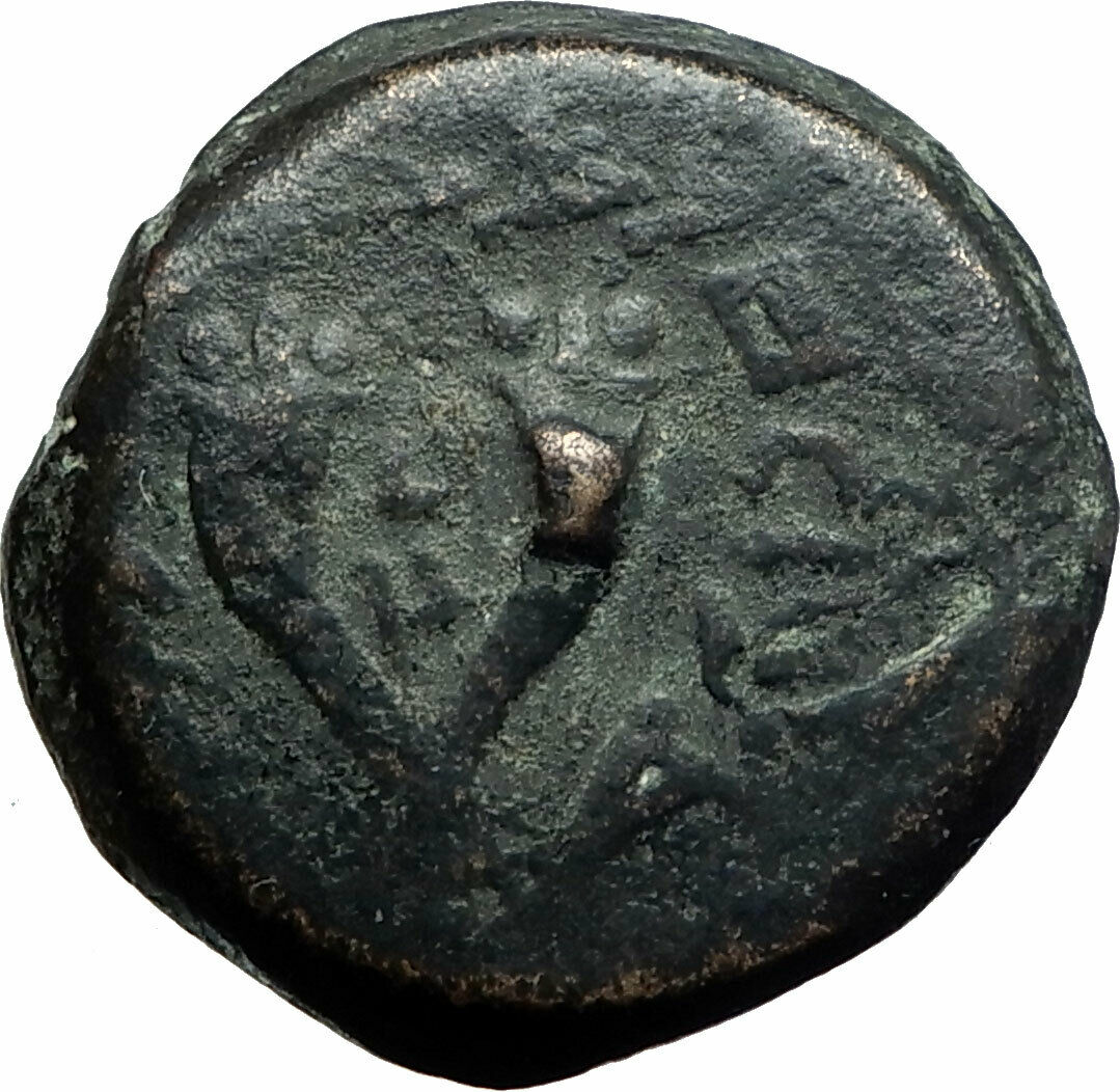 Mattathias (Mattatayah) Antigonus JEWISH Ancient JUDAEA Jerusalem Coin i74604