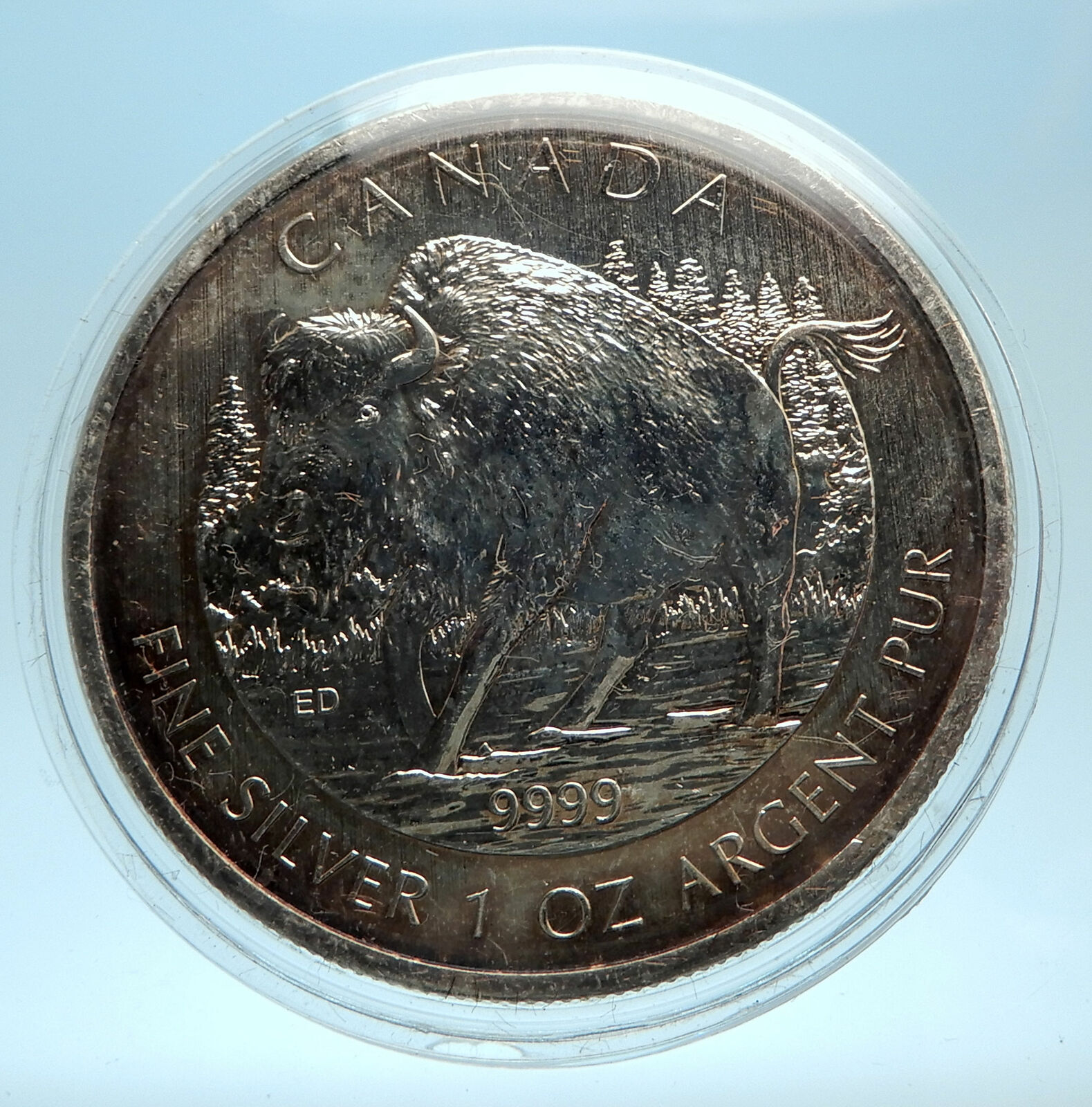 2013 CANADA UK Queen Elizabeth II Bison 1 OZ Genuine Silver $5 Coin i77545