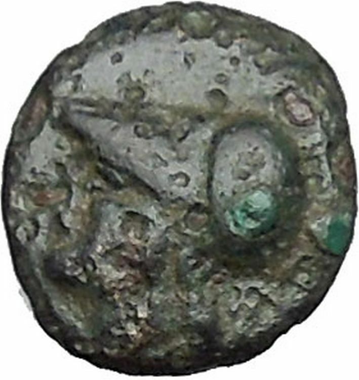 Elaia in Asia Minor 4th-3rdCentBC Ancient Greek Coin Athena Corn-grain i49051