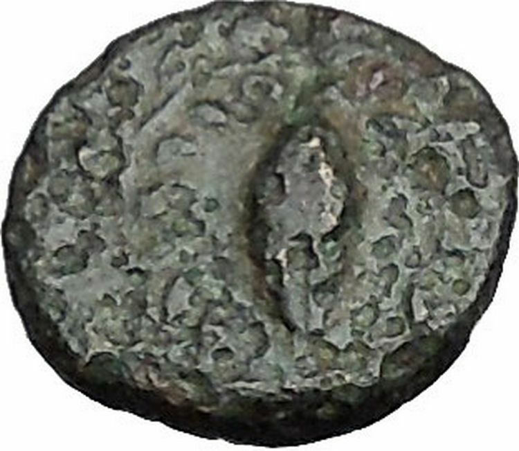 Elaia in Asia Minor 4th-3rdCentBC Ancient Greek Coin Athena Corn-grain i49051