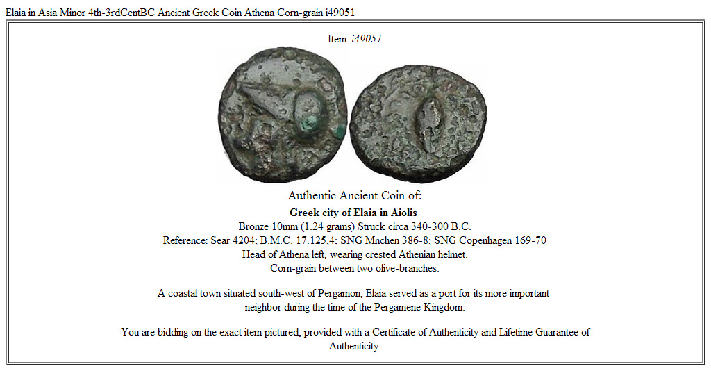 Elaia in Asia Minor 4th-3rdCentBC Ancient Greek Coin Athena Corn-grain i49051