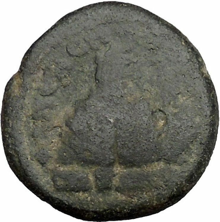 Elagabalus 218AD Neapolis in Judaea Mount Gerizim Temple Roman Coin Rare i50259