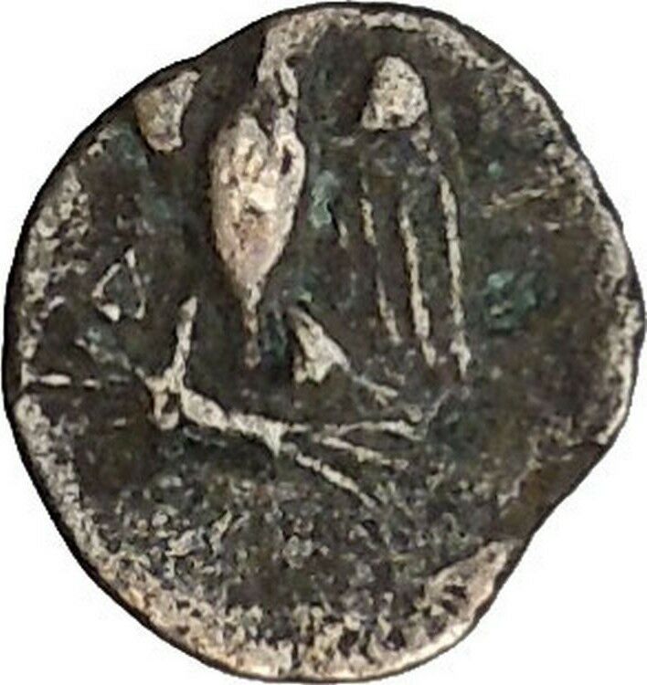 Authentic Ancient Greek City Coin 300-100BC Apollo Cult Eagle i49799