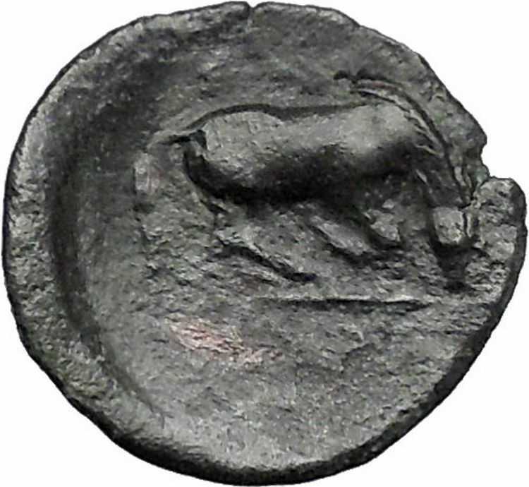 LARISSA in THESSALY 360BC Nymph Horse Authentic Ancient Greek Coin i49235