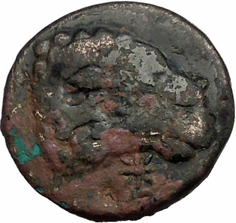 KEBREN in TROAS 387BC RAM APOLLO Ancient Greek RARE Large TYPE Coin i56049