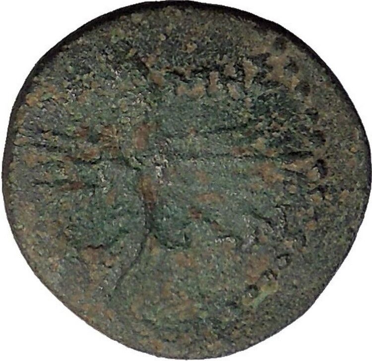 TERMESSOS MINOR in LYCIA 1CenBC Zeus Scepter Thunderbolt RARE Greek Coin i56074