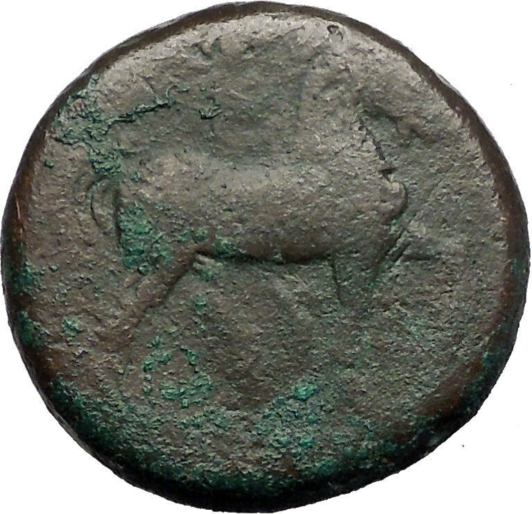 CARTHAGE ZEUGITANA 201BC Tanit Horse LARGE 3 Shekels Ancient Greek Coin i56323