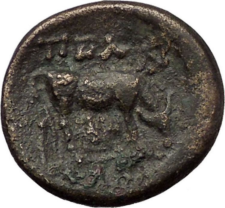 PELLA in MACEDONIA 158BC Athena Bull Genuine Authentic Ancient Greek Coin i57666