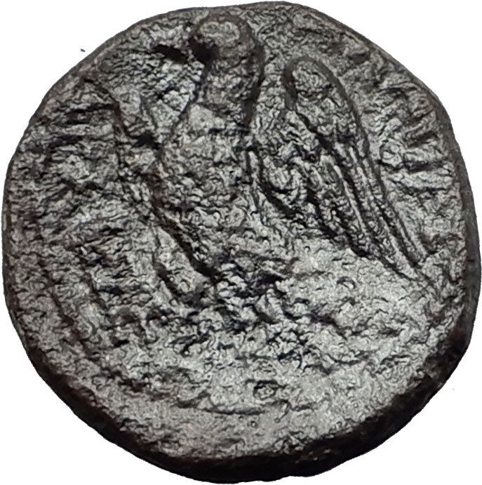 Alaisa Archonidea in Sicily 200BC Zeus Eagle Authentic Ancient Greek Coin i58442