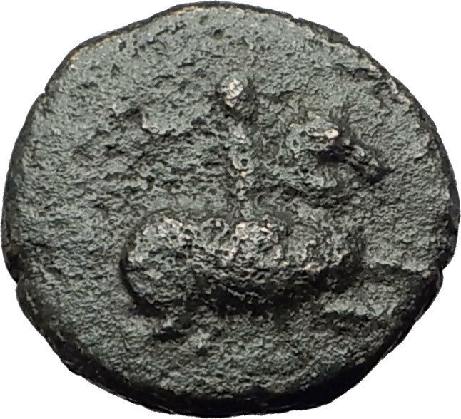 MAGNESIA ad MAEANDRUM Ionia 300BC Horse Bull Authentic Ancient Greek Coin i63650