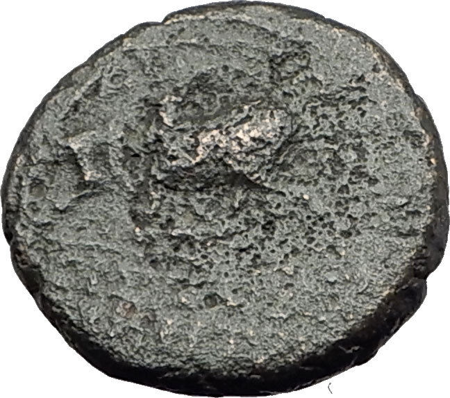 MAGNESIA ad MAEANDRUM Ionia 300BC Horse Bull Authentic Ancient Greek Coin i63650