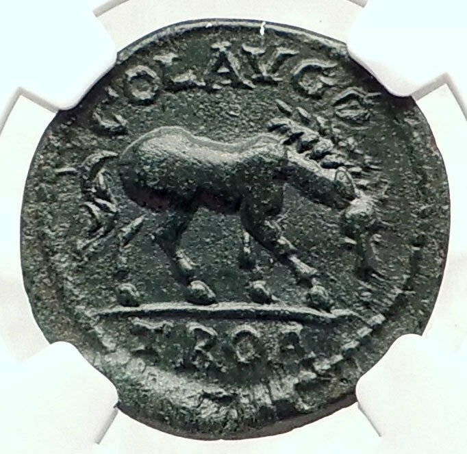 VOLUSIAN Authentic Ancient 251AD Roman Coin ALEXANDER TROAS Horse NGC i72840