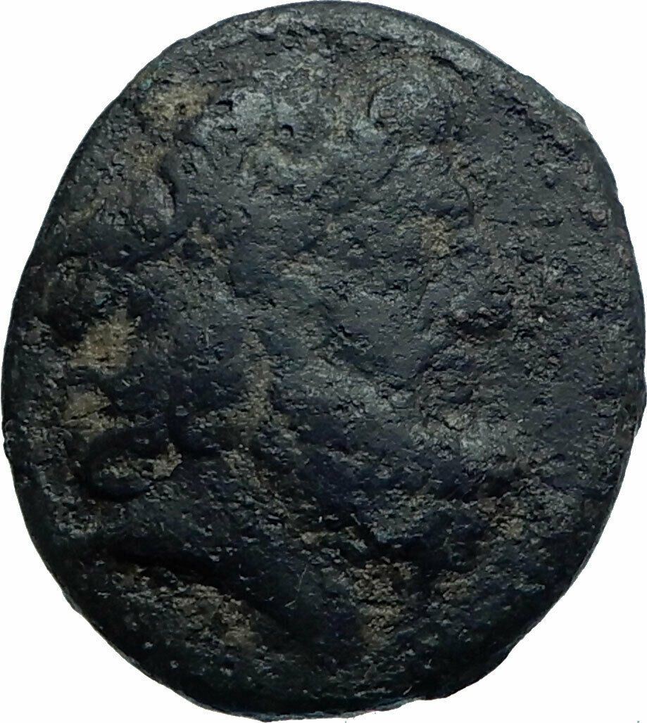 APAMEIA in Seleukis Authentic Ancient 77BC Greek Coin w ZEUS ELEPHANT i78417