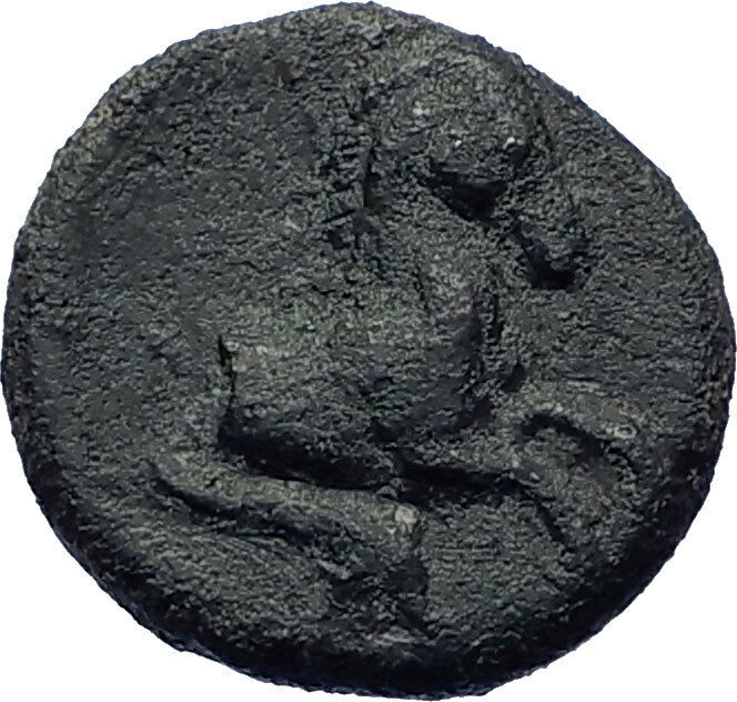 PANORMOS Sicily 336BC Authentic Ancient Greek Coin Apollo Horse Dolphin i73960