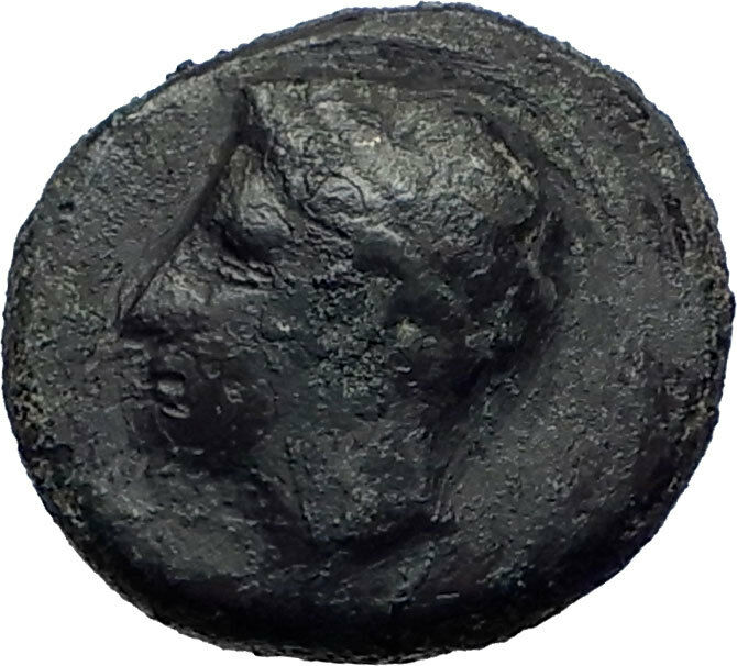 PANORMOS Sicily 336BC Authentic Ancient Greek Coin Apollo Horse Dolphin i73960