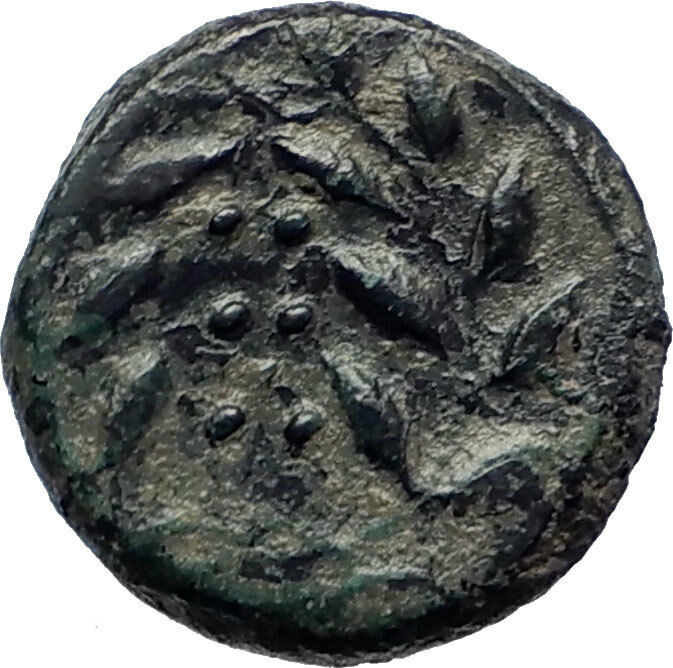 HIMERA Sicily 420BC Ancient Genuine Greek Coin Nymph & LAUREL Wreath i73992