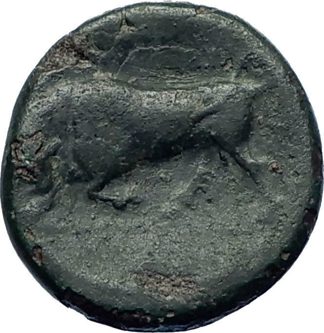 SYRACUSE Sicily 317BC Agathocles KORE BULL RARE Ancient Greek Coin i73959