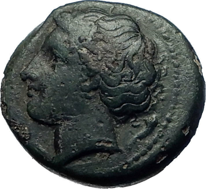 SYRACUSE Sicily 317BC Agathocles KORE BULL RARE Ancient Greek Coin i73959