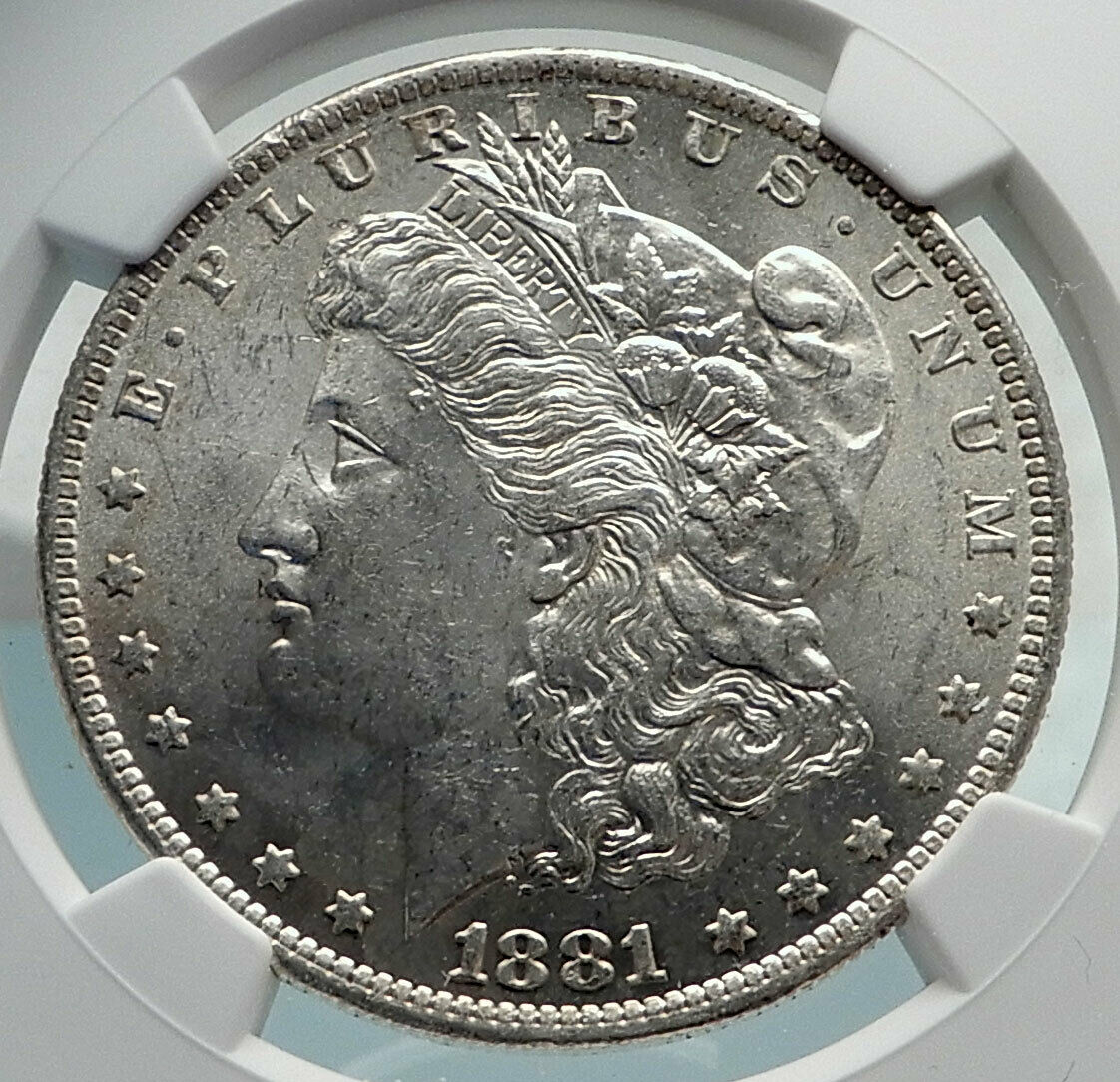 1881 UNITED STATES of America SILVER Morgan US Dollar Coin EAGLE NGC MS i79842