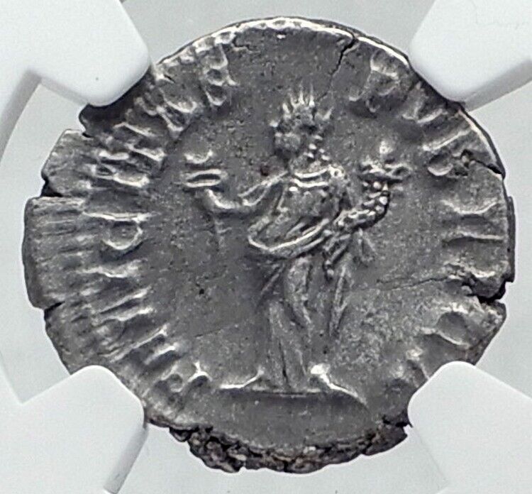 GETA as Caesar Authentic Ancient 203AD SIlver Roman Coin FELICITAS NGC i81164