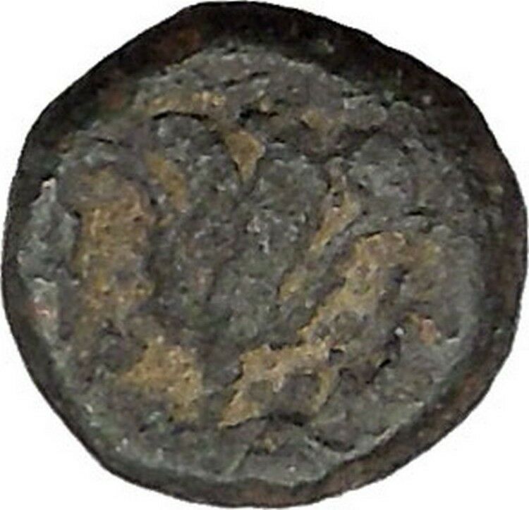 Rhodes, Islands off Caria 394BC RARE Ancient Greek Coin Nymph Rose i45703