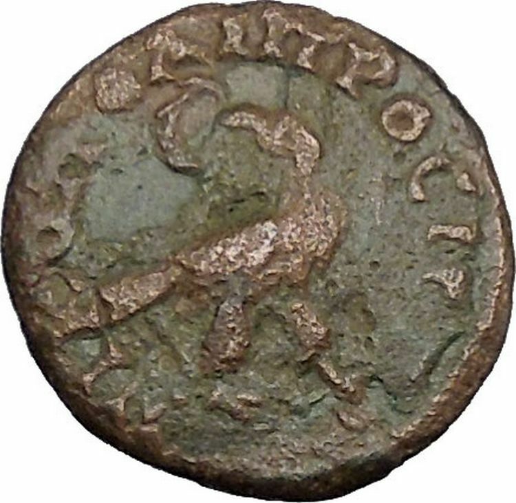 SEPTIMIUS SEVERUS Nicopolis ad Istrum Rare Ancient Roman Coin EAGLE i47918