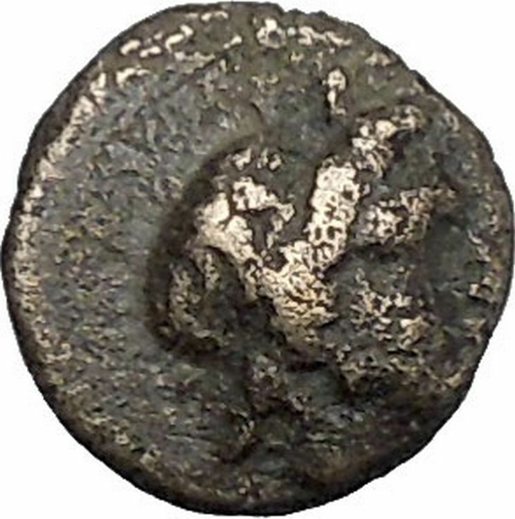 Kaunos in Caria 191BC Ancient Greek Coin Alexander the Great Cornucopia i49001