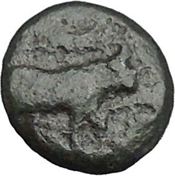 Boione in Aiolis 300BC Rare Authentic Ancient Greek Coin Female BULL i49039