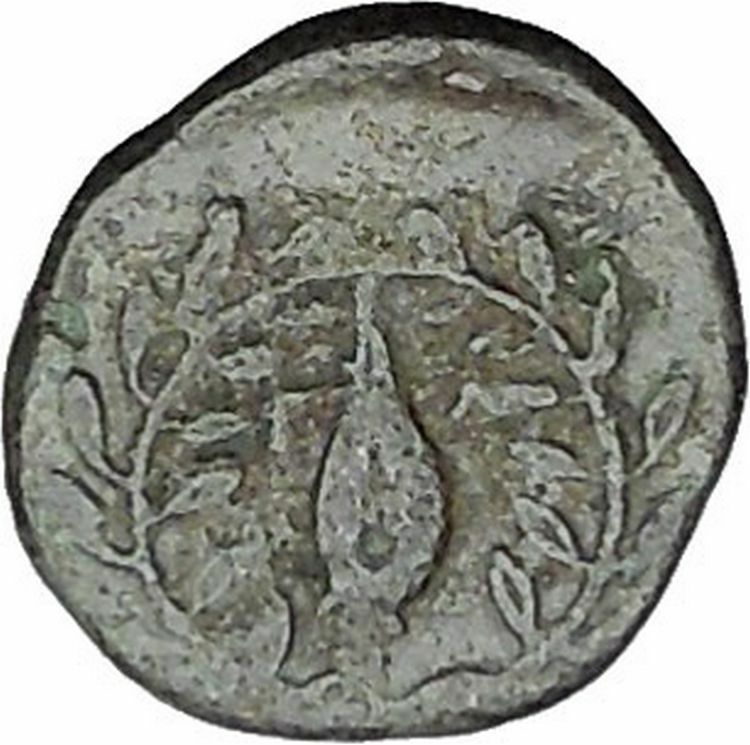 Elaia in Asia Minor 4th-3rdCentBC Ancient Greek Coin Athena Corn-grain i49046