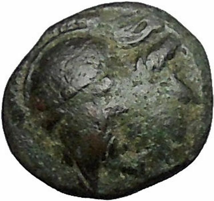 Elaia in Asia Minor 4th-3rdCentBC Ancient Greek Coin Athena Corn-grain i49046