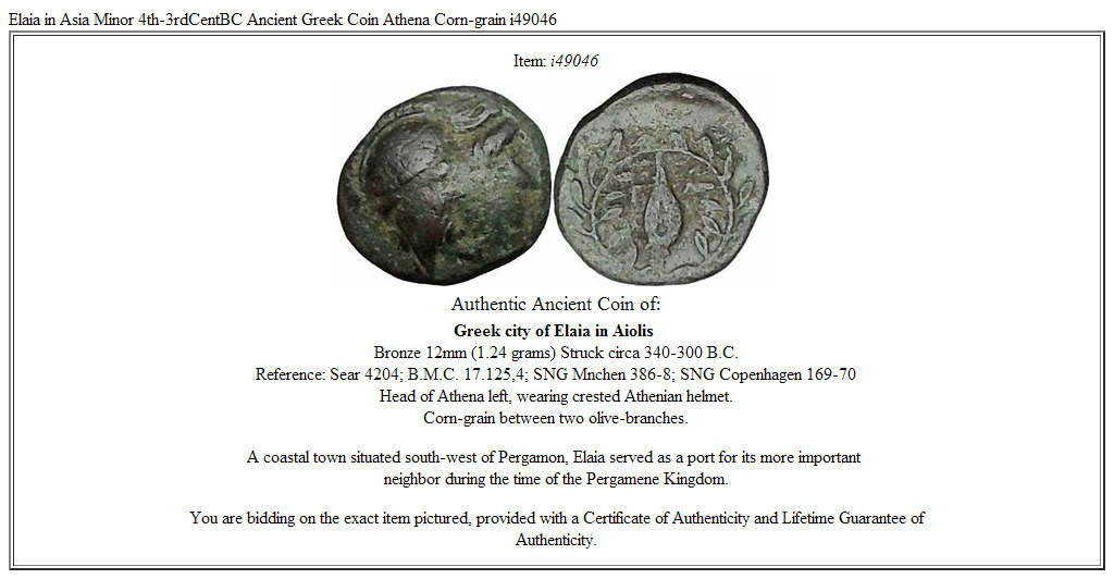 Elaia in Asia Minor 4th-3rdCentBC Ancient Greek Coin Athena Corn-grain i49046