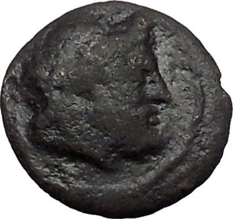 HALOS in THESSALY 302BC Zeus Phrixus on GOLDEN Ram RARE Greek Coin i49227