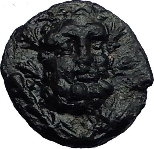 SELGE in PISIDIA 150BC Genuine Hercules Stag Authentic Ancient Greek Coin i59048