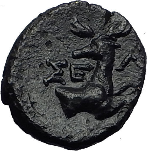 SELGE in PISIDIA 150BC Genuine Hercules Stag Authentic Ancient Greek Coin i59048