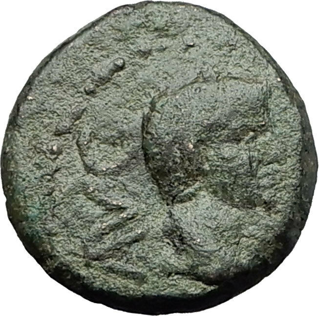 AUGUSTUS 27BC Philippi Macedonia PRIESTS Founding City Oxen Roman Coin i59356