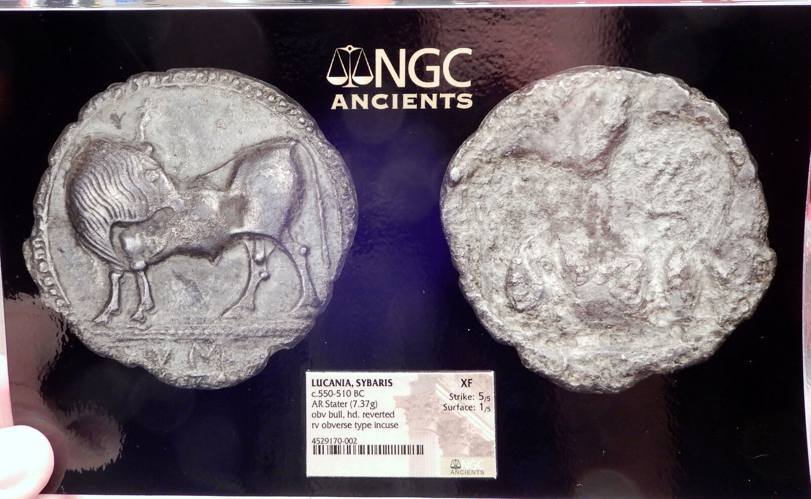 SYBARIS in LUCANIA 550BC Silver Nomos Stater Ancient Greek Coin BULL NGC i61209