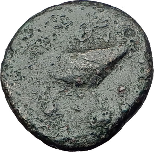 GRYNION or Gyrneion Aeolis 306BC Apollo Shell RARE Ancient Greek Coin i63099