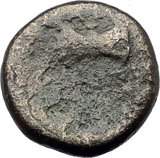 THYATEIRA in LYDIA 200BC Genuine Authentic Ancient Greek Coin APOLLO AXE i63162