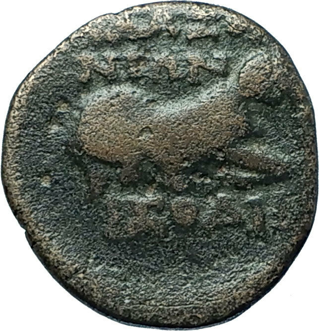 KLAZOMENAI in IONIA 386BC Authentic Ancient Greek Coin w ATHENA & RAM i66161