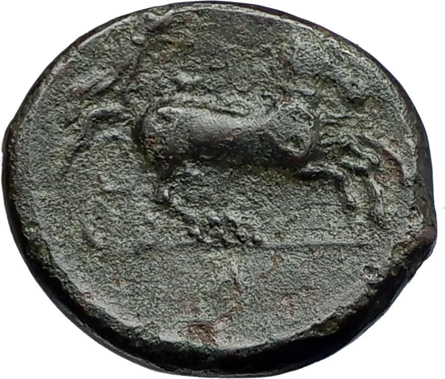 SYRACUSE in SICILY under Tyrant Hiketas 287BC RARE R1 Ancient Greek Coin i68022