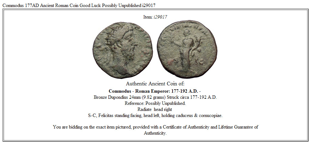COMMODUS 177AD Ancient Roman Coin Felicitas Possibly Unpublished i74232