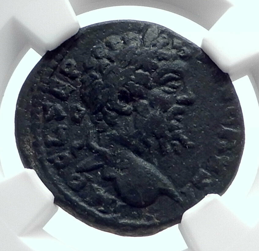 SEPTIMIUS SEVERUS Authentic Ancient Antioch Pisidia Roman Coin TYCHE NGC i80380