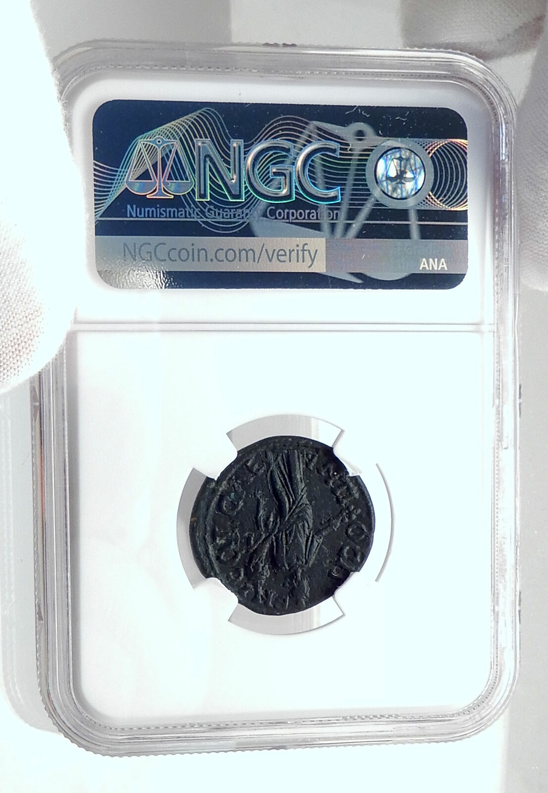 SEPTIMIUS SEVERUS Authentic Ancient Antioch Pisidia Roman Coin TYCHE NGC i80380